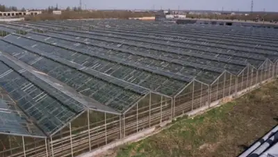 Zakon.kz, фото - Новости Zakon.kz от 22.01.2015 02:38