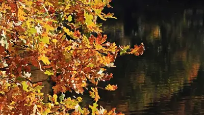 прогноз погоды на 3-5 сентября , фото - Новости Zakon.kz от 02.09.2022 11:23