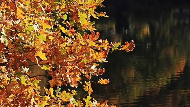 Жара до 40 градусов ожидается на выходных в Казахстане