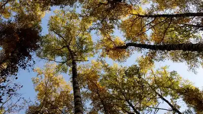 Какую погоду принесет антициклон в Казахстан 8 октября , фото - Новости Zakon.kz от 07.10.2022 15:29