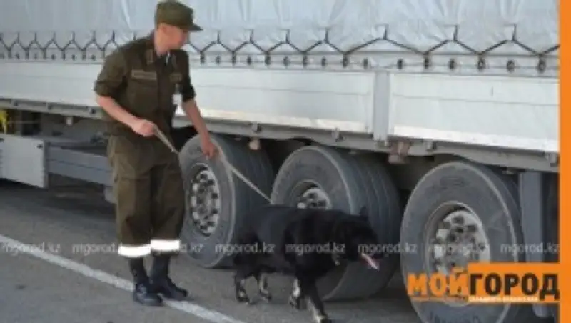 В ЗКО россиянин пытался провести сына через госграницу, спрятав его под одеялом