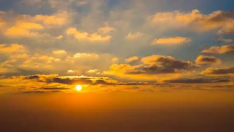 , фото - Новости Zakon.kz от 07.07.2023 16:16