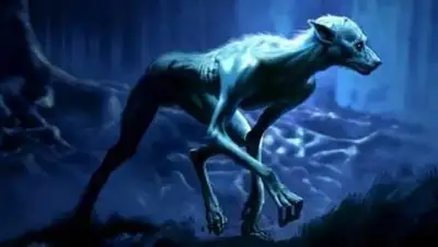 kriptozoo.ru, фото - Новости Zakon.kz от 16.06.2021 16:58