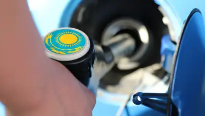 Новороссия, фото - Новости Zakon.kz от 21.06.2019 12:42