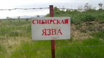 Zakon.kz, фото - Новости Zakon.kz от 23.09.2016 22:34