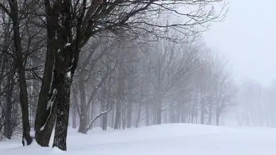 зима, фото - Новости Zakon.kz от 21.01.2023 21:08