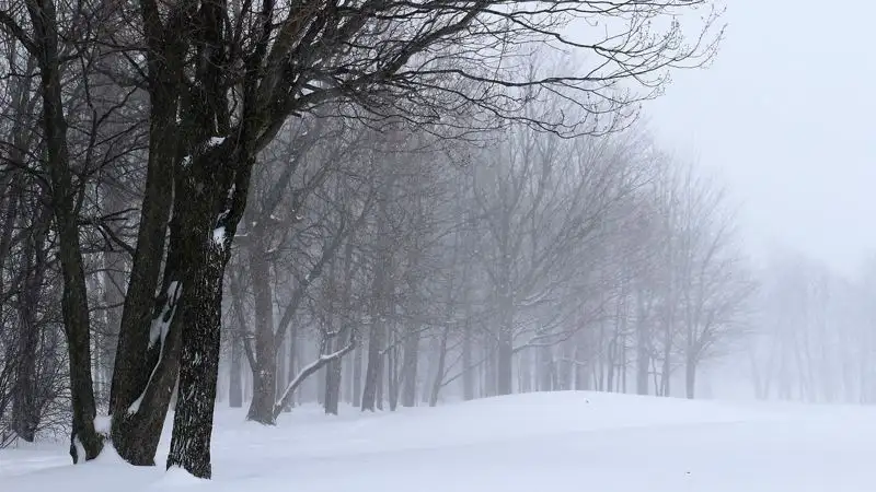Туман и сильный ветер ожидаются в пяти областях Казахстана в воскресенье