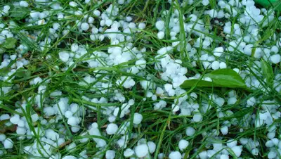 HotGEO, фото - Новости Zakon.kz от 25.05.2019 09:30