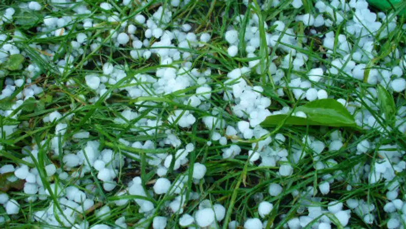 Ветер, туман и град – прогноз погоды на 25 мая