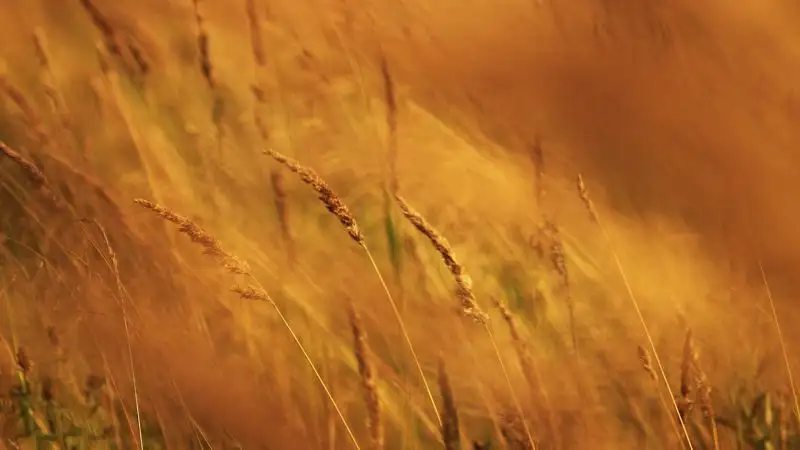 Погода в Алматы на неделю: ожидаются сильная жара и грозы