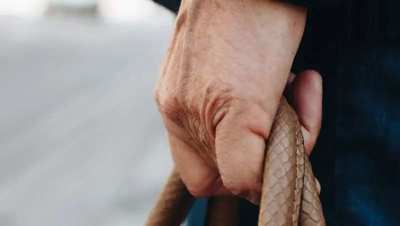 Грабитель отобрал сумку с 19 млн тенге у пенсионерки в СКО