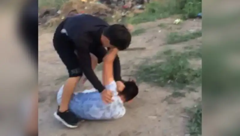 В Павлодарской области жестокую драку подростков сняли на видео