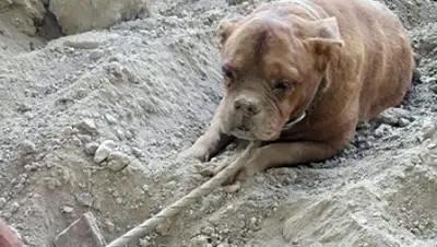 Zakon.kz, фото - Новости Zakon.kz от 07.08.2015 00:54