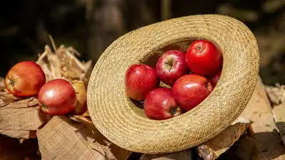 pixabay, фото - Новости Zakon.kz от 17.11.2021 06:16