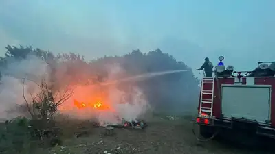 14 лесников пропали при крупном пожаре в Абайской области, фото - Новости Zakon.kz от 09.06.2023 16:51