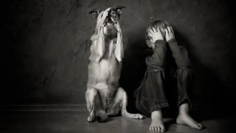 Фотографии с конкурса "Дети и животные"