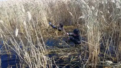 Zakon.kz, фото - Новости Zakon.kz от 14.10.2017 13:32