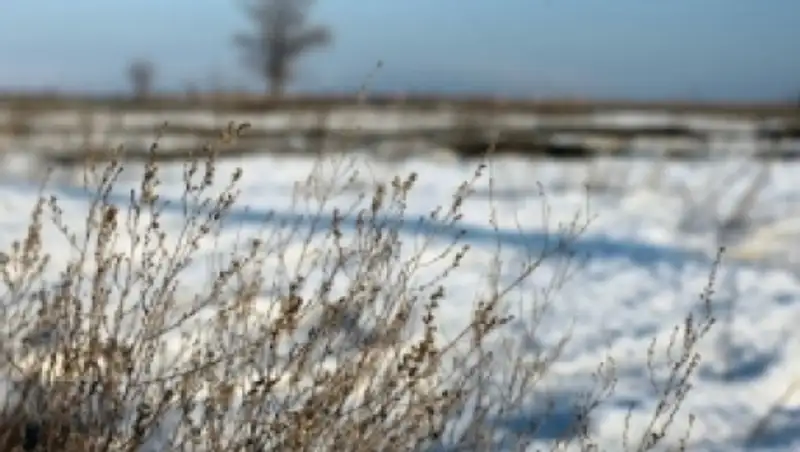 Полицейские Костанайской области спасли потерявшегося в степи ребенка