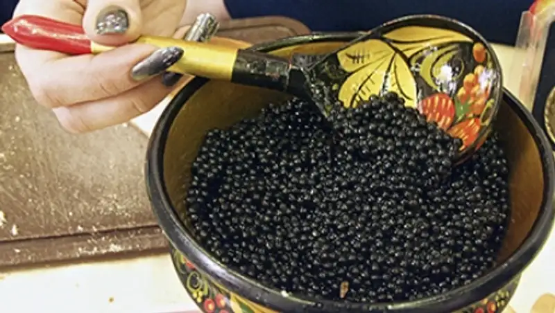 Росрыболовство лишило россиян надежды на дешевую черную икру