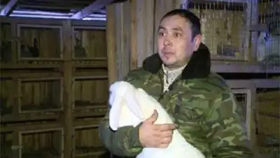 Zakon.kz, фото - Новости Zakon.kz от 05.11.2013 21:25