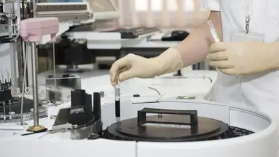 pixabay.com, фото - Новости Zakon.kz от 09.10.2019 00:25