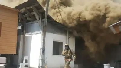 Zakon.kz, фото - Новости Zakon.kz от 03.08.2017 22:56