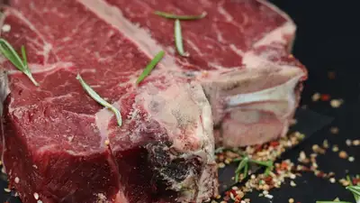 Казахстанская конина пришлась по вкусу французам, фото - Новости Zakon.kz от 02.11.2023 11:32