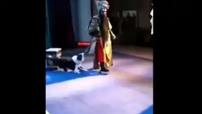 Скриншот видео, фото - Новости Zakon.kz от 07.03.2018 13:33