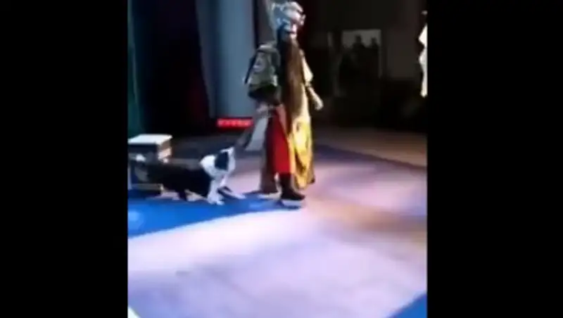 В Китае собака напала на актера во время оперного спектакля