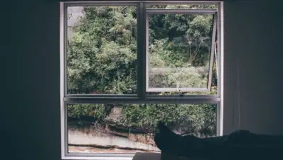 pxhere.com, фото - Новости Zakon.kz от 12.06.2019 15:21