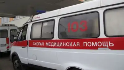 Zakon.kz, фото - Новости Zakon.kz от 09.08.2017 17:44