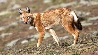 Zakon.kz, фото - Новости Zakon.kz от 09.06.2015 00:41