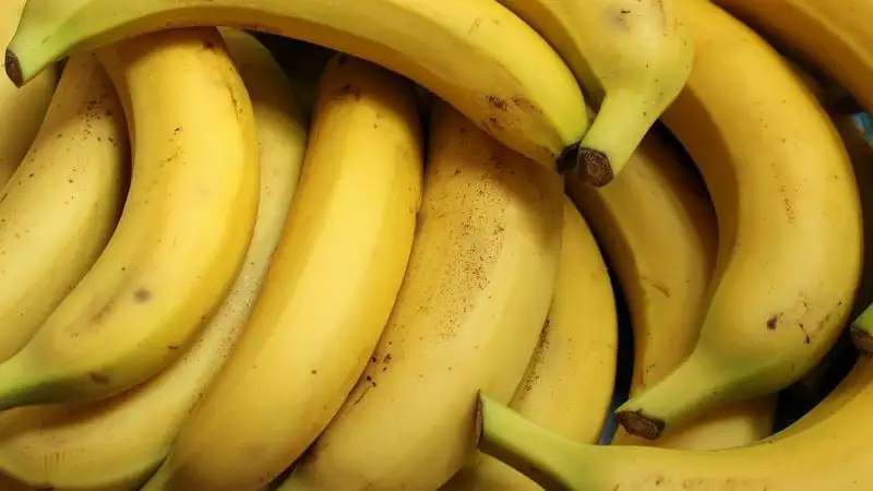 банан, полезные фрукты, витамины, фото - Новости Zakon.kz от 08.09.2023 10:43