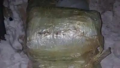 КУИС МВД РК, фото - Новости Zakon.kz от 31.01.2019 17:27