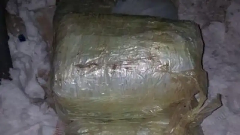 Центнер наркотиков в подвале - полиция задержала пять членов преступной группы