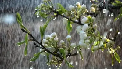 total.kz, фото - Новости Zakon.kz от 20.04.2021 17:25