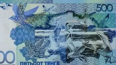 Zakon.kz, фото - Новости Zakon.kz от 24.11.2017 09:49