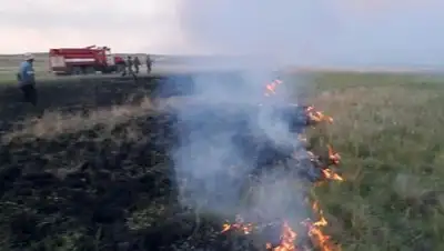 Zakon.kz, фото - Новости Zakon.kz от 14.08.2017 16:16