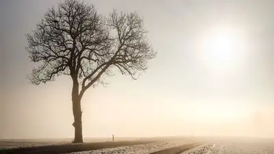 весна, фото - Новости Zakon.kz от 19.04.2023 20:00