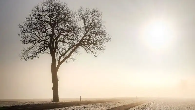 Туман, гололед и заморозки ожидаются в Астане и 11 областях Казахстана в четверг