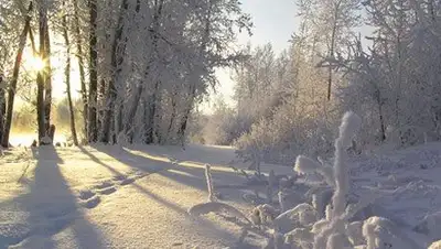 Zakon.kz, фото - Новости Zakon.kz от 10.03.2014 15:09