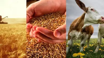 inozpress, фото - Новости Zakon.kz от 28.02.2020 17:31