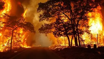 Zakon.kz, фото - Новости Zakon.kz от 02.10.2016 12:49