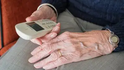 pixabay.com, фото - Новости Zakon.kz от 06.02.2019 17:21