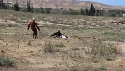 Хабар 24, фото - Новости Zakon.kz от 17.07.2018 22:23