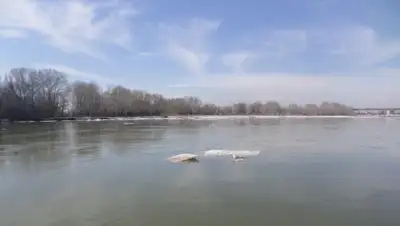 Zakon.kz, фото - Новости Zakon.kz от 25.05.2015 20:39