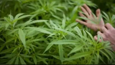 pixabay.com, фото - Новости Zakon.kz от 11.06.2019 10:43