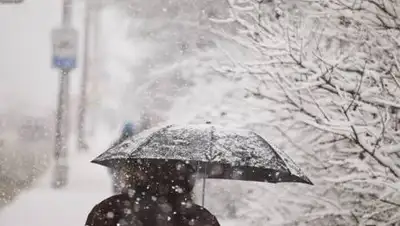 pavlodarnews.kz, фото - Новости Zakon.kz от 21.01.2021 06:12