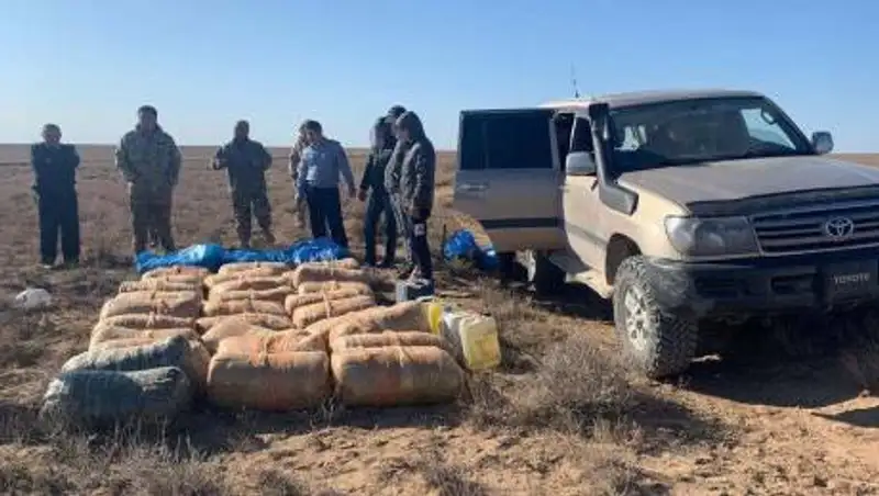 В Туркестанской области с начала года изъяли свыше 800 кг наркотиков