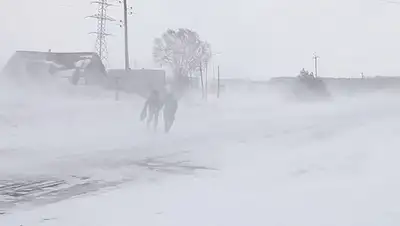 Zakon.kz, фото - Новости Zakon.kz от 21.02.2017 19:48